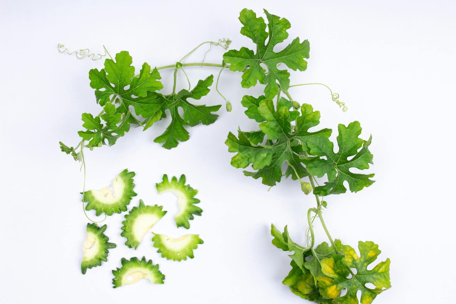 https://www.pexels.com/photo/green-vegetables-on-white-surface-8793858/